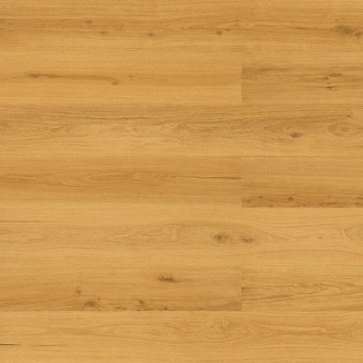 Golden Prime Oak 