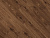 Windsor Oak
